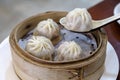 Chinese dim sum - Xiaolongbao