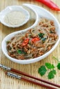 Chinese dish of starch glass noodles rice, potatoes, beans with meat pork or beef Royalty Free Stock Photo