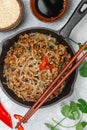 Chinese dish of starch glass noodles rice, potatoes, beans with meat pork or beef Royalty Free Stock Photo