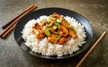 Chinese dish with szechuan chicken and rice Royalty Free Stock Photo