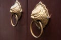 Chinese door handles knocker, Oriental lion face brass door handles Royalty Free Stock Photo