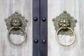 Chinese Door Knockers Royalty Free Stock Photo