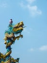 Chinese dragon 14 Royalty Free Stock Photo