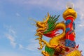 Chinese dragon on blue sky background