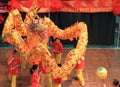 Chinese Dragon Dancing
