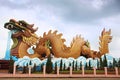 Chinese dragon Royalty Free Stock Photo