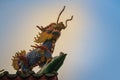 Chinese dragon-headed unicorn statue on the temple roof. Kylin o Royalty Free Stock Photo