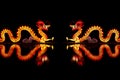 Chinese Dragon Lantern Royalty Free Stock Photo