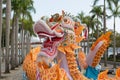 Chinese Dragon for Chinese New Year in Hong Kong