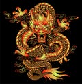 Chinese Dragon Pattern Royalty Free Stock Photo