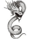 Chinese dragon serpent