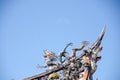 Chinese Dragon statue in the corner roof with blue sky