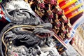 Chinese Dragon in Taiwan, Asia, design architecture, Temple Royalty Free Stock Photo