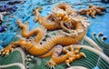 Chinese dragon, symbol of power