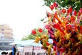 Chinese Dragon Toy in Chinese New Year Royalty Free Stock Photo