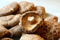 Chinese dried mushrooms Royalty Free Stock Photo