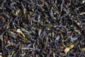 Chinese dry tea background, jasmine tea dried for brew tea, leaf black tea Royalty Free Stock Photo