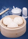 Chinese dumpling Royalty Free Stock Photo