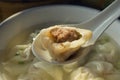 Chinese dumpling Royalty Free Stock Photo