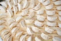 Chinese dumpling Royalty Free Stock Photo