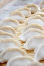 Chinese dumpling Royalty Free Stock Photo