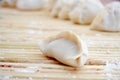 Chinese dumpling Royalty Free Stock Photo