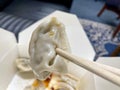 Chinese Dumpling, take-out Royalty Free Stock Photo