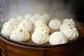 Chinese dumplings Royalty Free Stock Photo