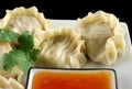 Chinese Dumplings 4 Royalty Free Stock Photo