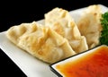 Chinese Dumplings Royalty Free Stock Photo