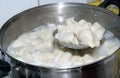 Chinese Dumplings Cooking in the Skillet
