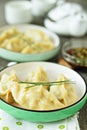 Chinese dumplings with ground chicken Royalty Free Stock Photo