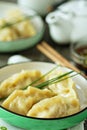Chinese dumplings with ground chicken Royalty Free Stock Photo