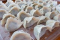 Chinese dumplings home made
