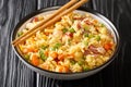 Chinese Egg Fried Rice Yang Chow Fried Rice close up in the plate. Horizontal Royalty Free Stock Photo