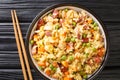 Chinese Egg Fried Rice Yang Chow Fried Rice close up in the plate. Horizontal top view Royalty Free Stock Photo