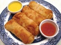 Chinese Egg Rolls Royalty Free Stock Photo