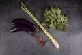 Chinese Eggplants Displayed with Cooking Ingredients: Hot Red Chili Peppers, Lemon Grass and Sweet Thai Basil #1 Royalty Free Stock Photo