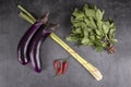 Chinese Eggplants Displayed with Cooking Ingredients: Hot Red Chili Peppers, Lemon Grass and Sweet Thai Basil #2 Royalty Free Stock Photo