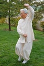 Chinese Elderly Woman Performing Taichi Outdoor