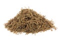 Chinese Ephedra Royalty Free Stock Photo