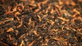 Chinese extruded tea ripe puer high quality with red tea buds macro