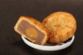 Chinese famous food--Moon cake