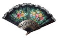 Chinese fan Royalty Free Stock Photo