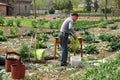 Pengzhou, China: Farmer Bundling Garlic