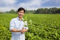 Chinese farmer holding sapling