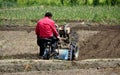 Pengzhou, China: Farmer Plowing Field