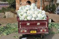 Chinese Farmer Selling Vegetables