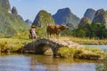 Chinese farmer walking with water buffalo on bridge