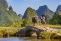 Chinese farmer walking with water buffalo on bridge